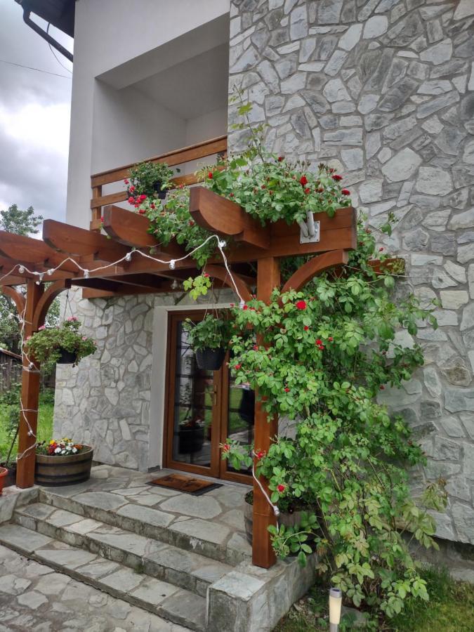 Pensiunea Codruta Carpinisu Exterior photo