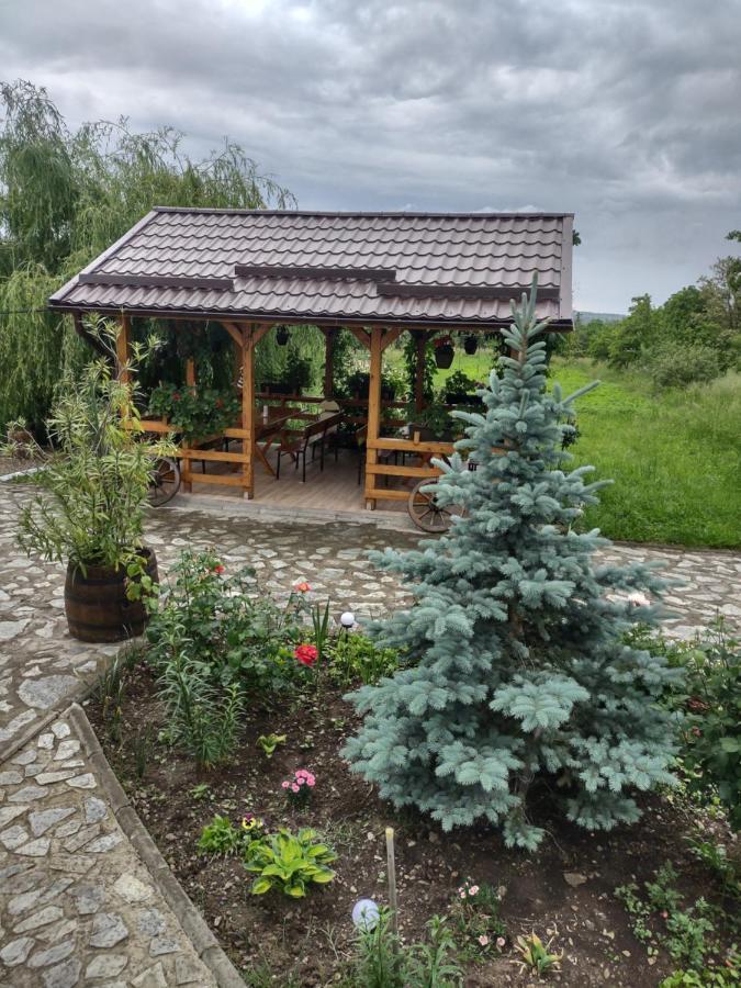 Pensiunea Codruta Carpinisu Exterior photo
