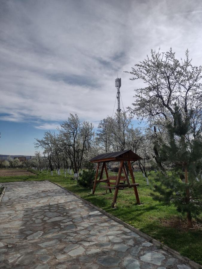 Pensiunea Codruta Carpinisu Exterior photo