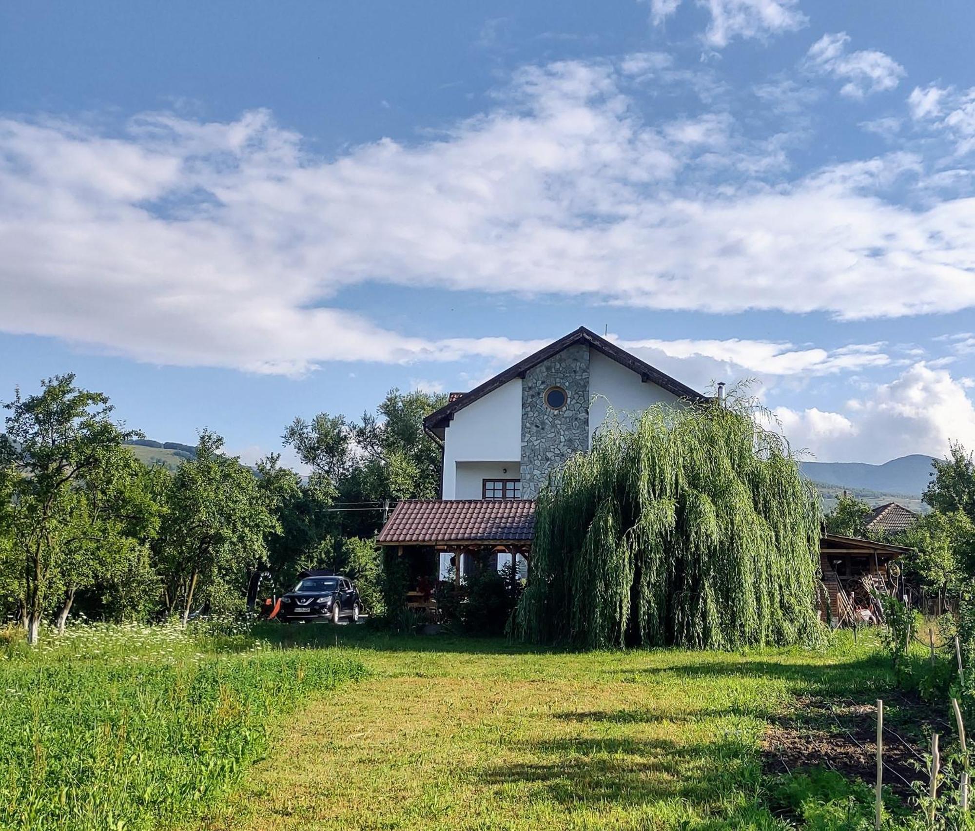 Pensiunea Codruta Carpinisu Exterior photo