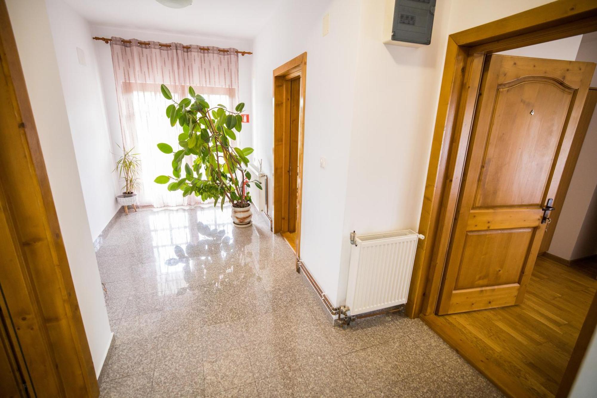 Pensiunea Codruta Carpinisu Exterior photo