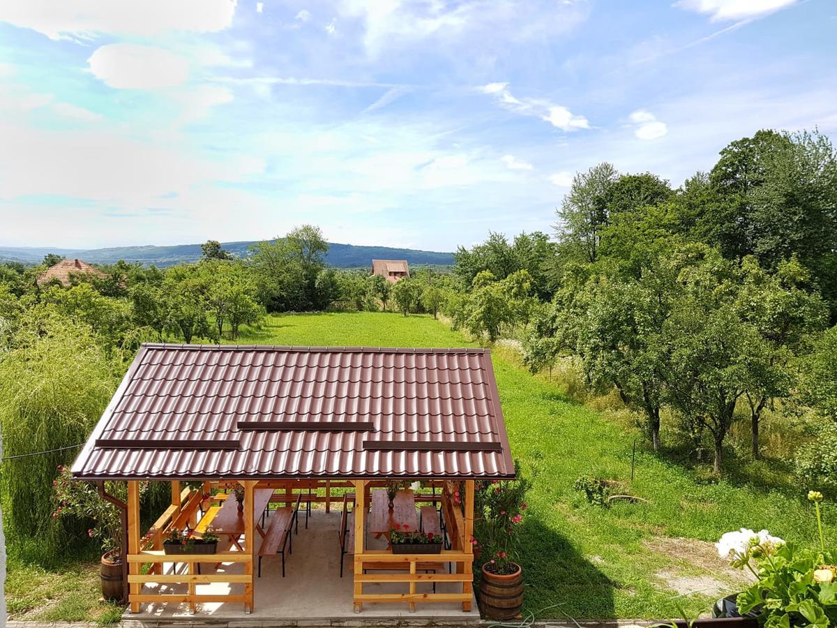 Pensiunea Codruta Carpinisu Exterior photo